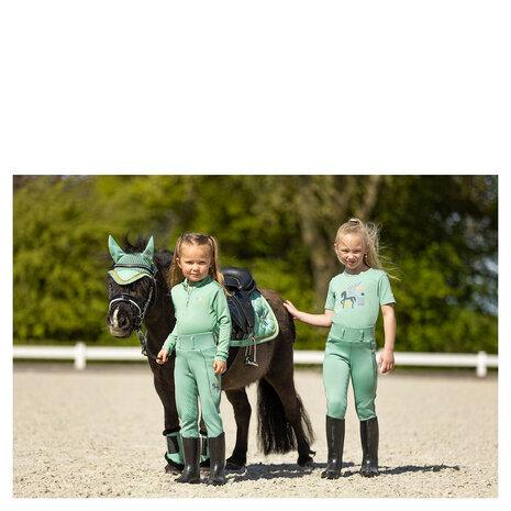 BR Mini Horse zip-up shirt longsleeve feldspar