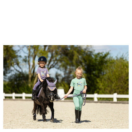 BR Mini Horse oornetje cadet