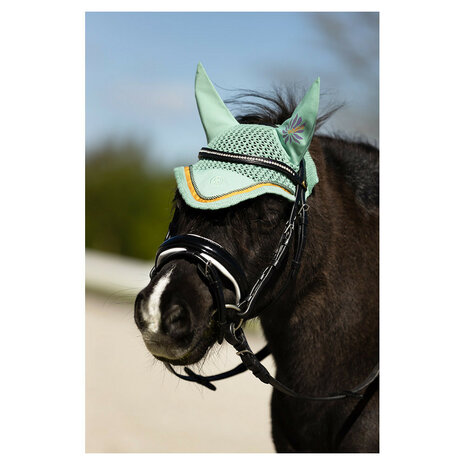 BR Mini Horse oornetje feldspar