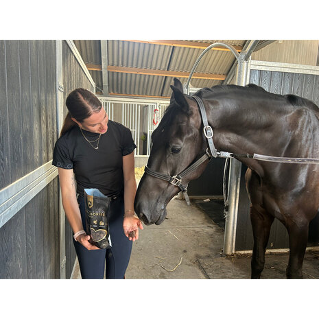 Excellent ambachtelijke paardenkoekjes appel 500 gram