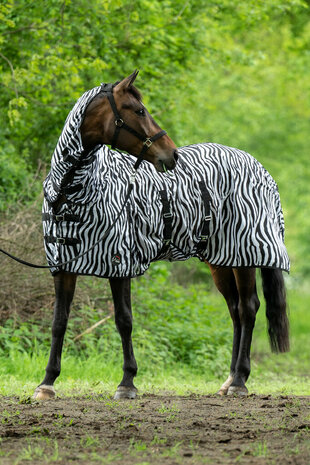 HKM vliegendeken Zebra met hals en buikflap