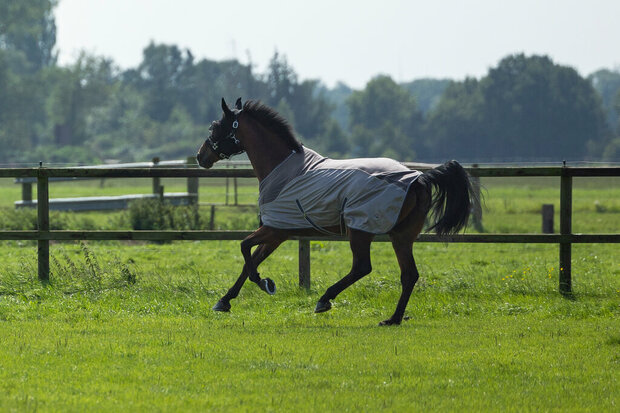 HKM vliegendeken Comfort met fleece grijs/natuur/blauw