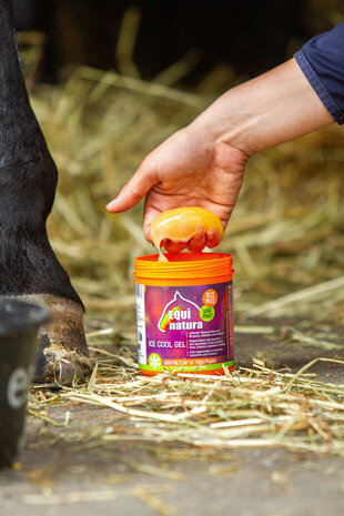 EquiNatura koeling gel 600 ml