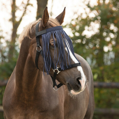 QHP vliegennetje blauw