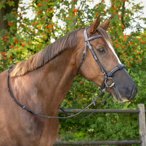 QHP neusnetje