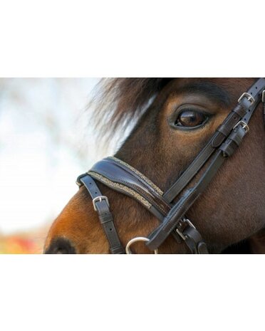 HB anatomisch Hoofdstel Showtime Welsh Rocky glitter bruin
