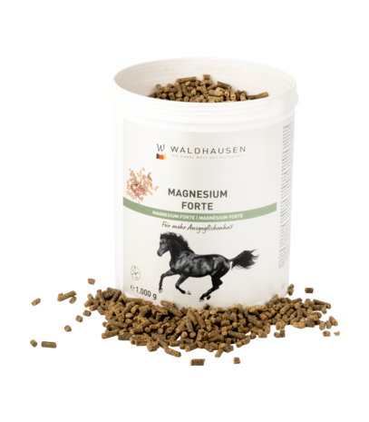 Waldhausen magnesium forte 1kg