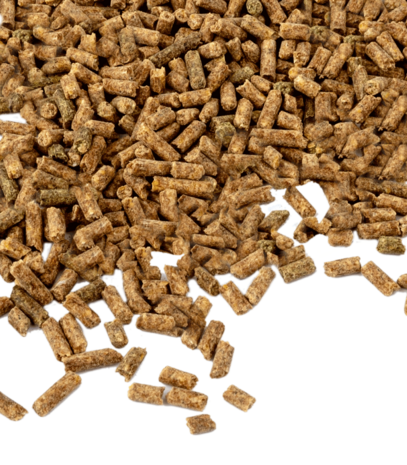 Waldhausen Vitamine E - voor betere prestaties 1 kg