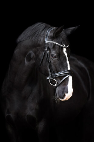 Imperial Riding Hoofdstel Fria
