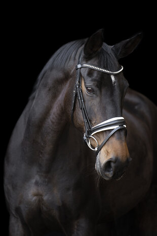 Imperial Riding Hoofdstel Fria