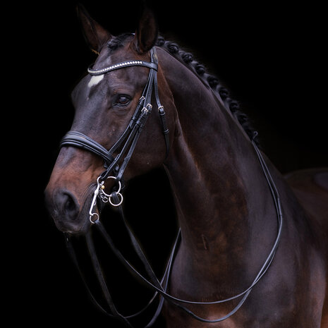 Imperial Riding Stang Trens Hoofdstel Fria