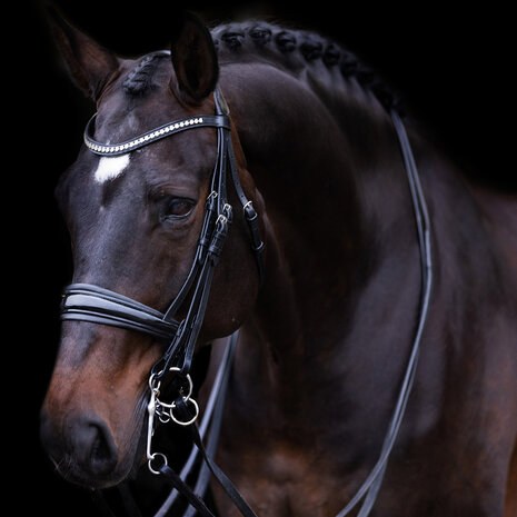 Imperial Riding Stang Trens Hoofdstel Fria