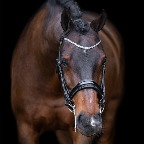 Imperial Riding stang trens hoofdstel Olympia