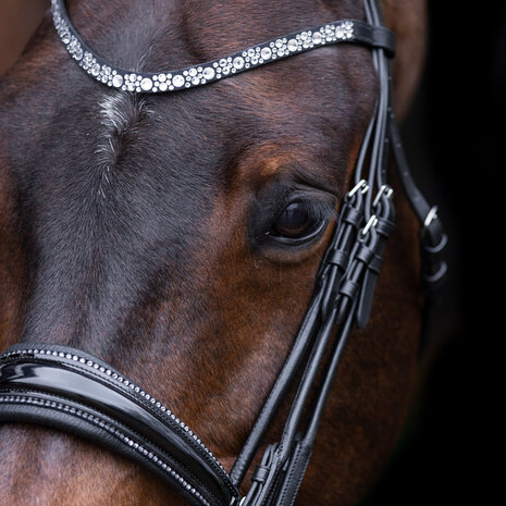 Imperial Riding stang trens hoofdstel Olympia