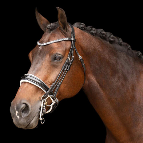 Imperial Riding stang trens hoofdstel Olympia