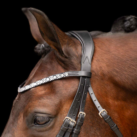 Imperial Riding stang trens hoofdstel Olympia