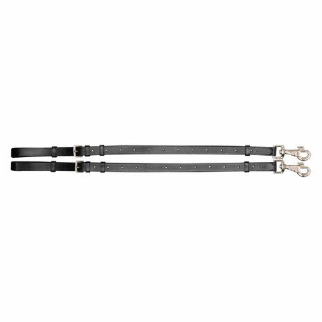 Imperial Riding Leren Bijzetteugels Core