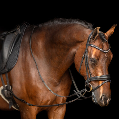 Imperial Riding Leren Bijzetteugels Core
