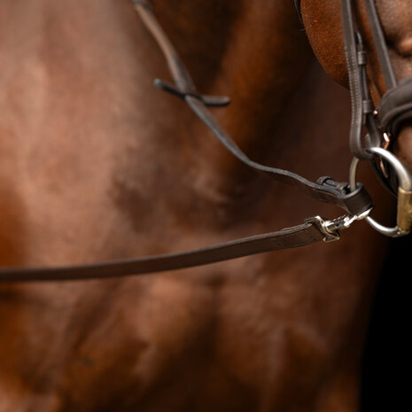 Imperial Riding Leren Bijzetteugels Core