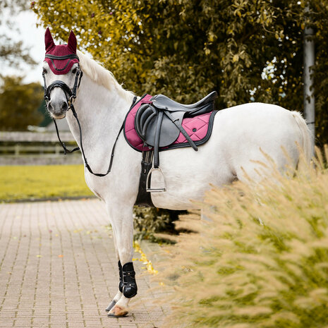 QHP Zadeldek Zahra