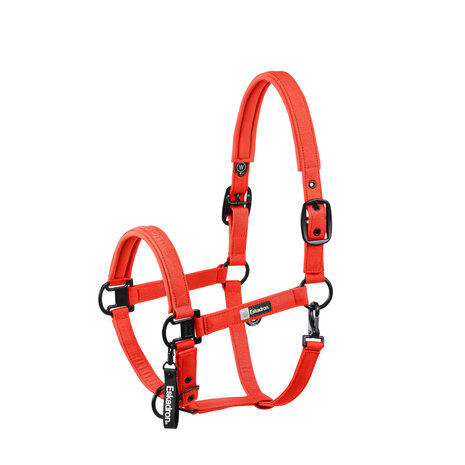 Eskadron Halster Sparkle Double Pin Dynamic AW25