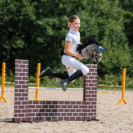 QHP Hobby Horse Hoofdstel