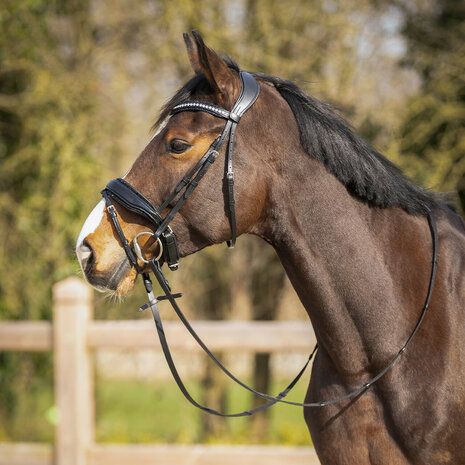 QHP Hoofdstel Skye