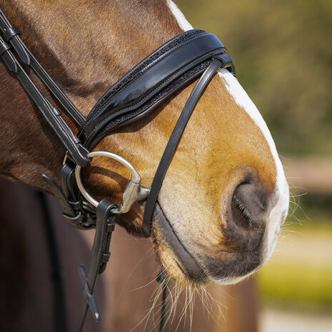 QHP Hoofdstel Skye