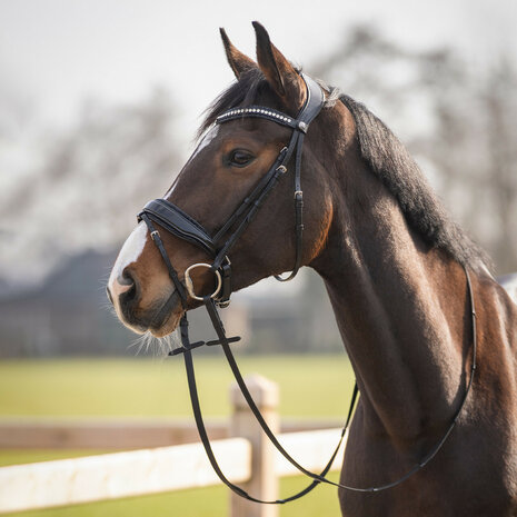 QHP Hoofdstel Skye