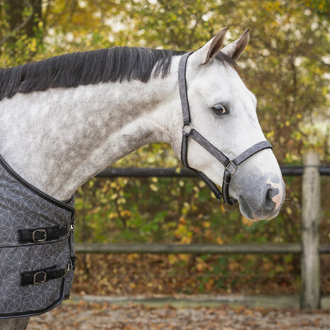 QHP Halsterset Turnout Collectie