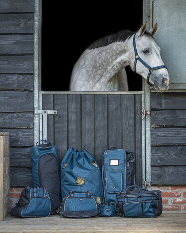 QHP Halsterset Turnout Collectie