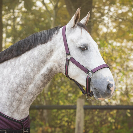 QHP Halsterset Turnout Collectie