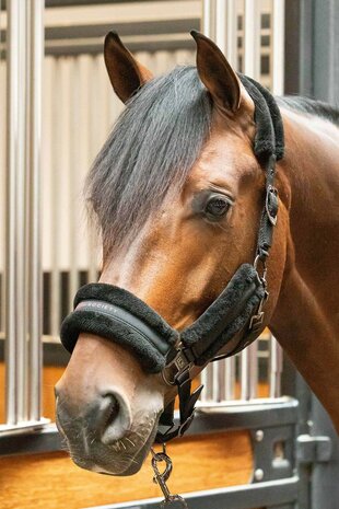 Harry’s Horse Halsterset Soft Billie