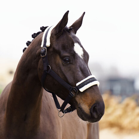 Imperial Riding Halster Jewel