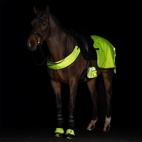 Imperial Riding reflecterend borsttuig
