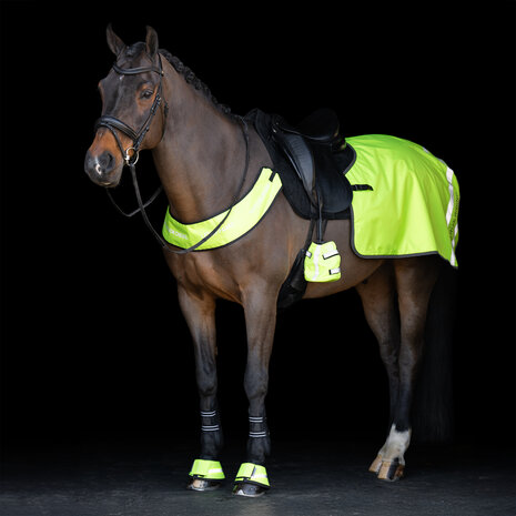 Imperial Riding reflecterend borsttuig