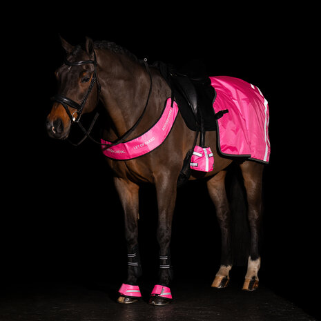 Imperial Riding reflecterend borsttuig
