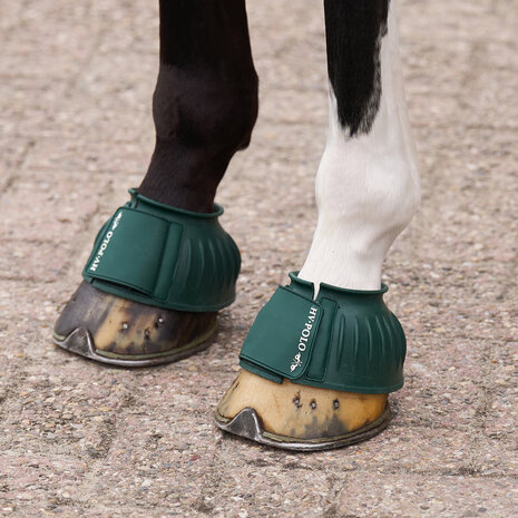 HV Polo springschoenen Essential