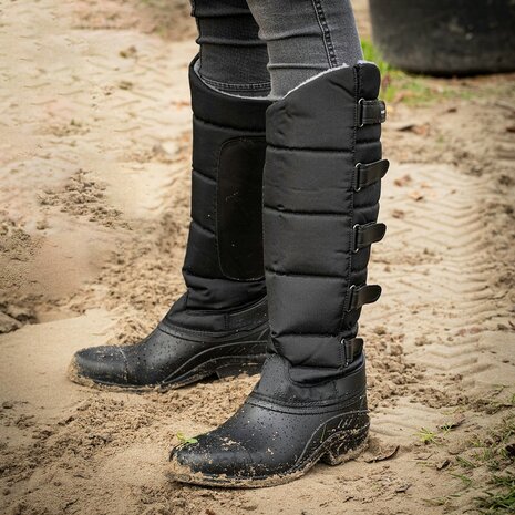 Harry's Horse thermolaarzen North Star