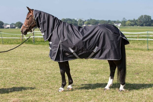 Harry's Horse Regendeken Thor 0gr