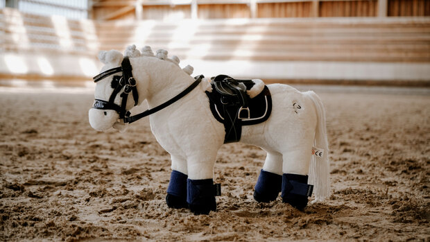Pony Academy Mini-pony Filou