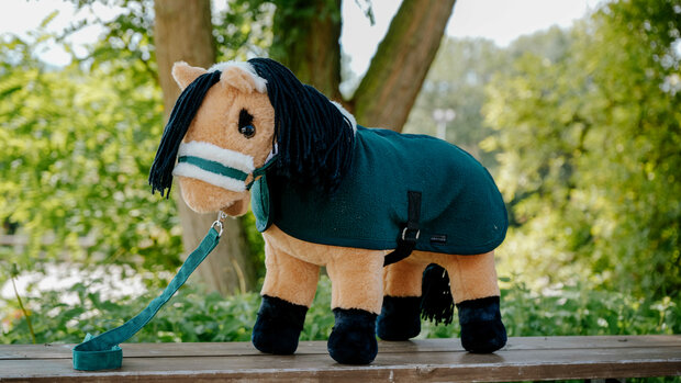Pony Academy Mini-pony Caramel