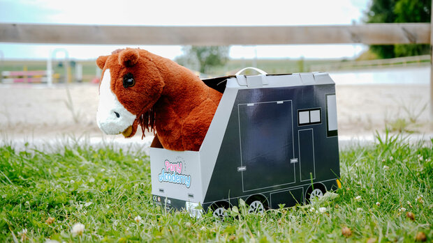 Pony Academy Mini-pony Jumpy