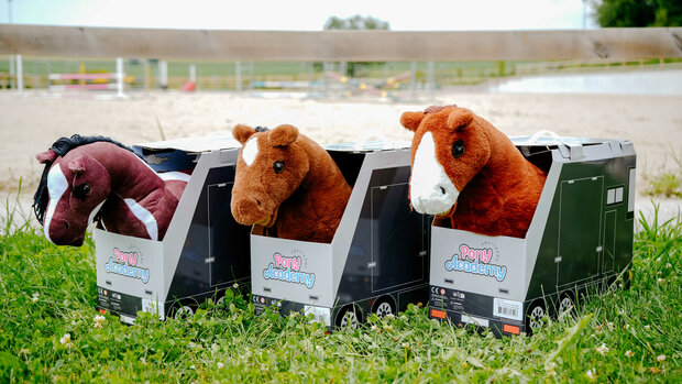 Pony Academy Mini-pony Jumpy
