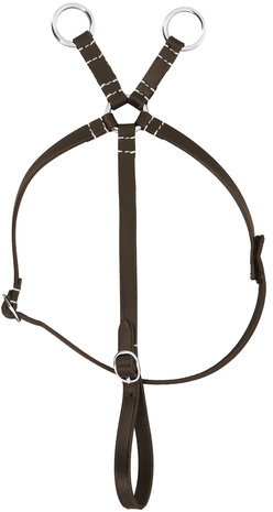 Pony Academy Mini-martingaal