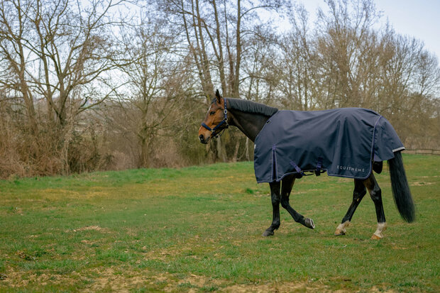 EquiTheme Regendeken Anatomic Combo