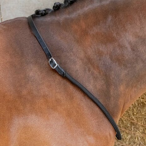 Harry’s Horse Neckrope Balancer