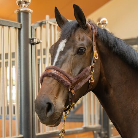 Harry's Horse leren halster Anatomic Furry Matt
