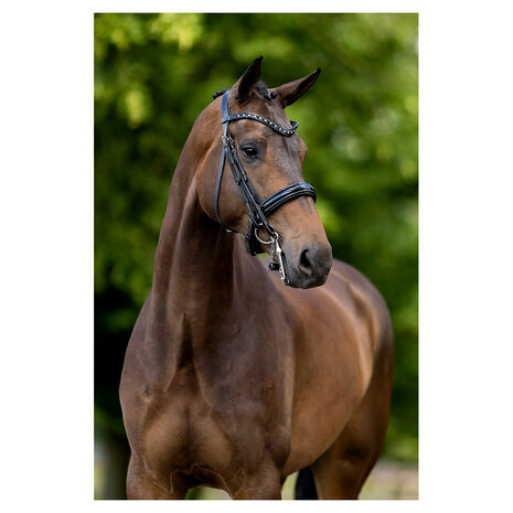 BR Stang & Trens Hoofdstel Wendover