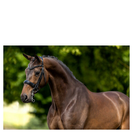 BR Stang & Trens Hoofdstel Wendover